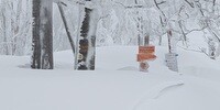 Snowmagedon: Zgrzypy i Przehyba